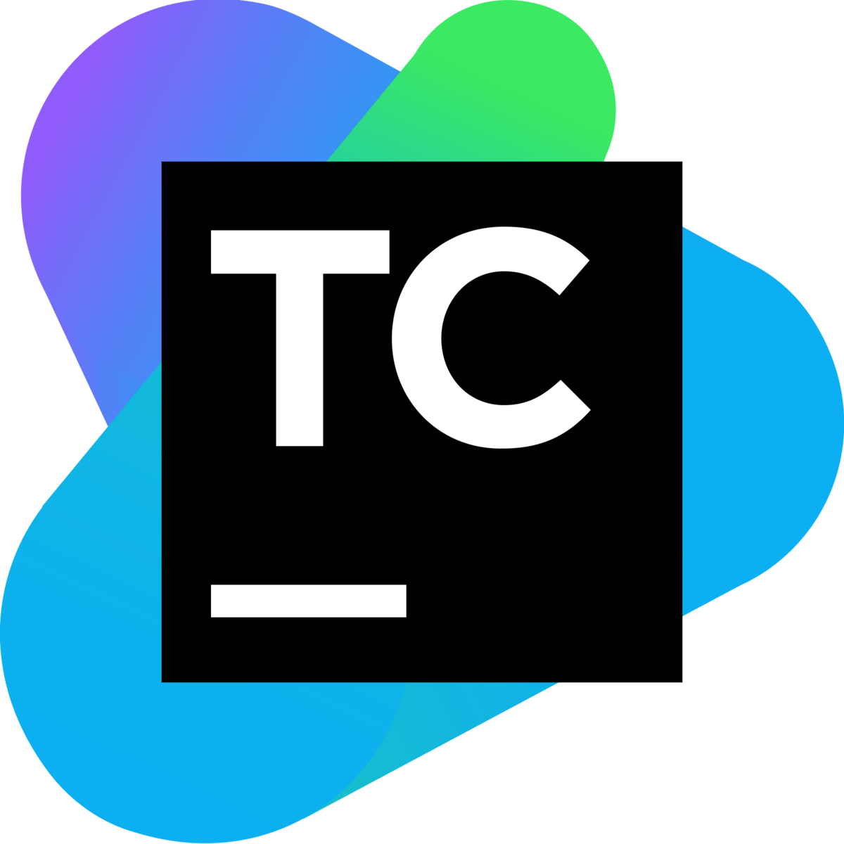 TeamCity Logo 2